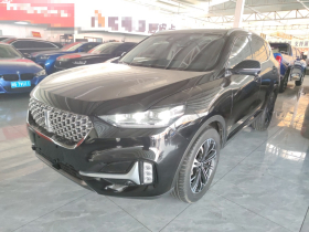 魏牌 VV6 2021款 2.0T 两驱智享+