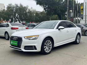 奥迪A4L 2019款 40 TFSI 进取型 国VI