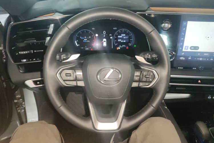 雷克萨斯RX 2025款 300 四驱骏享版局部细节13