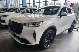 哈弗H6 2021款 第三代 2.0T 自动两驱Max