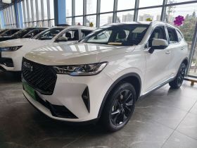 哈弗H6 2021款 第三代 2.0T 自动两驱Max