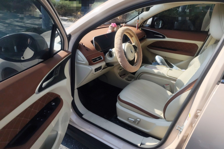 欧拉好猫 2023款 401km标准续航 豪华型 磷酸铁锂中控内饰20