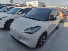 五菱汽车 五菱缤果 2023款 203km 舒享款