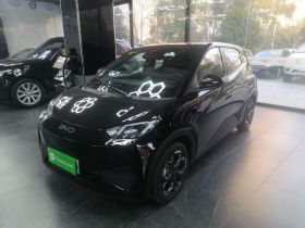 比亚迪 海鸥 2025款 智驾版 305km 自由版