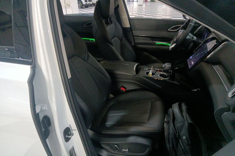 红旗HS3 2024款 1.5T 善为版局部细节41