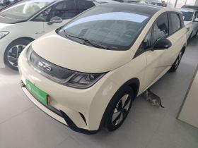 比亚迪 海豚 2023款 420km 时尚版