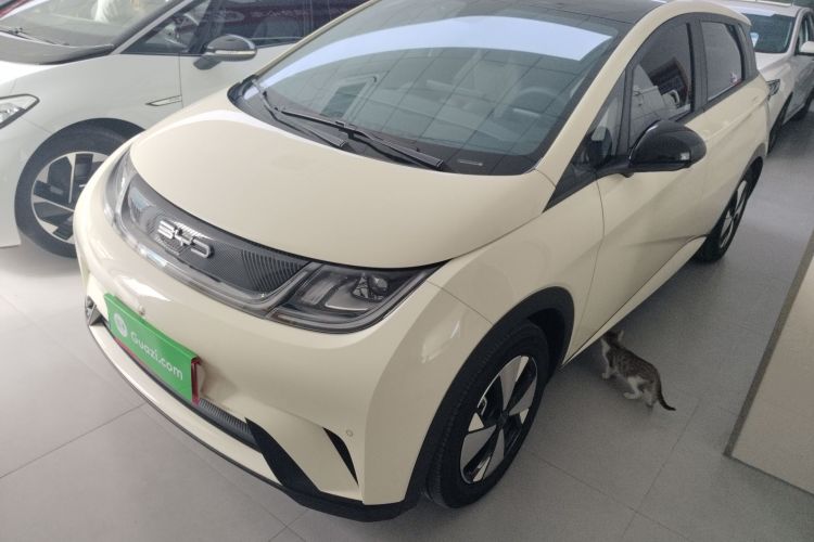 比亚迪 海豚 2023款 420km 时尚版车身外观1