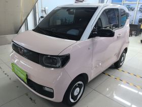 五菱汽车 宏光MINIEV 2021款 马卡龙时尚款 磷酸铁锂