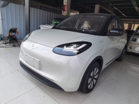 五菱汽车 五菱缤果 2024款 333km 悦享款