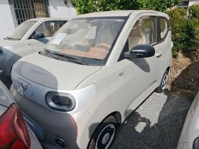 五菱汽车 宏光MINIEV 2024款 第三代 215km 青春版