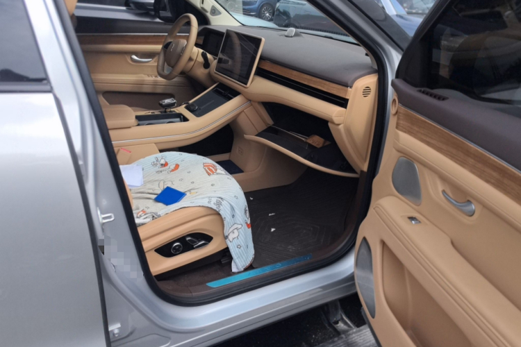 鸿蒙智行 问界M7 2024款 1.5T 后驱Plus版 5座局部细节9005