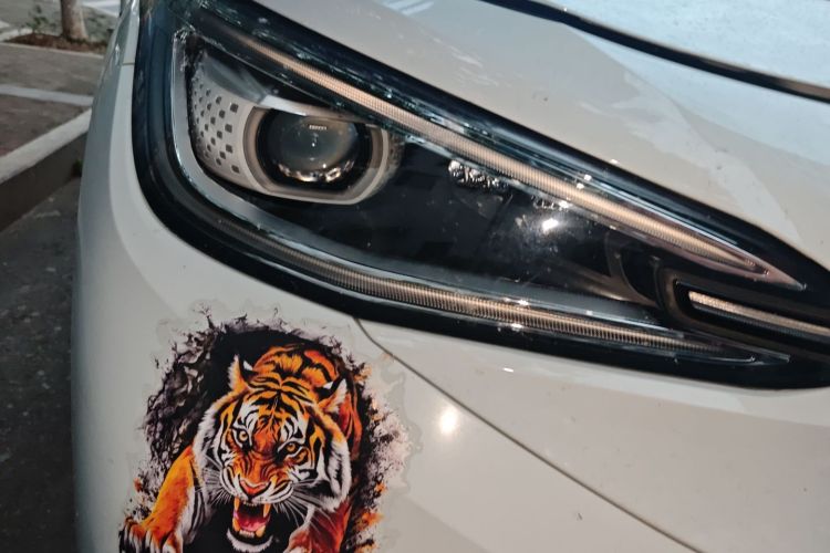 大众 ID.4 X 2023款 纯净长续航版车身外观6006