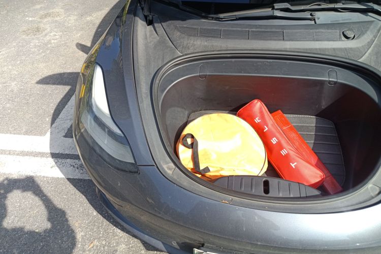 特斯拉 Model 3(进口) 2019款 长续航后驱版局部细节9006