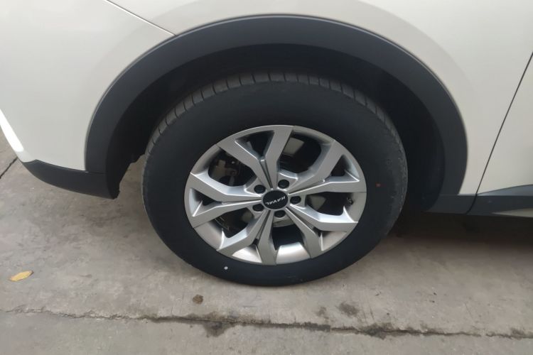 哈弗H6 2021款 国潮版 1.5GDIT 自动冠军版车身外观6007