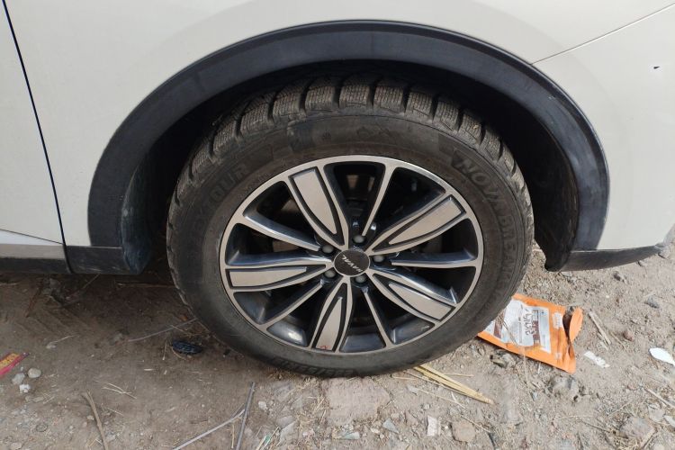 哈弗H6 2021款 1.5T 自动冠军版车身外观6007