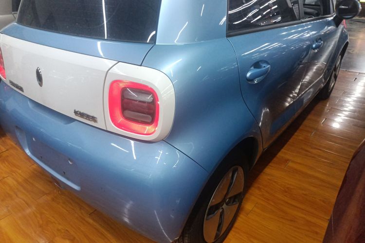 欧拉黑猫 2019款 301km 标准版车身外观9