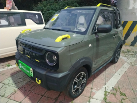 吉利银河 2025款 210km 熊猫骑士