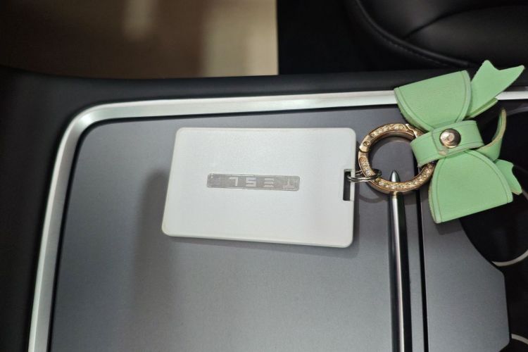 特斯拉 Model 3 2022款 后轮驱动版中控内饰7001