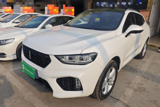 魏牌 VV5 2019款 1.5T 两驱颜先锋