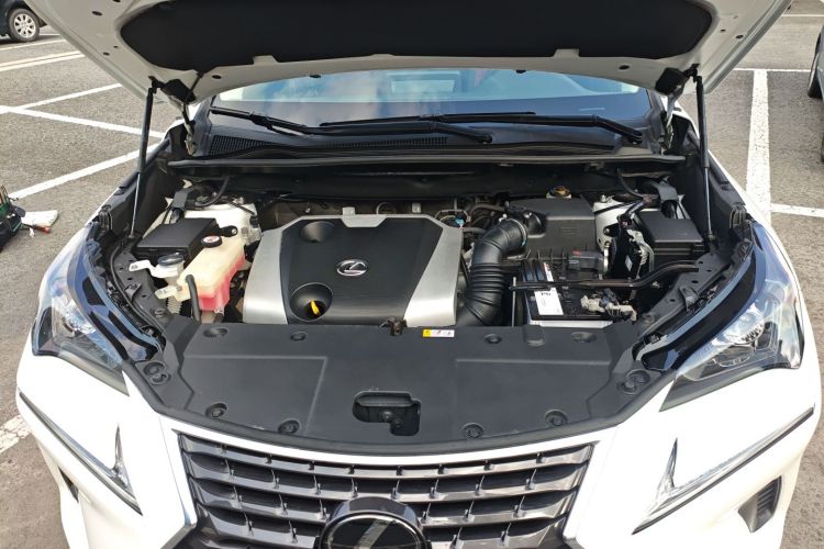 雷克萨斯NX 2020款 200 全驱 锋尚版 国VI机舱底盘24