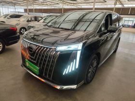 广汽传祺 传祺M8 2024款 大师系列 400T 至尊版