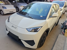 比亚迪 海鸥 2025款 智驾版 305km 活力版