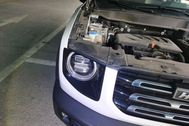 哈弗大狗 2021款 1.5T DCT两驱马犬-旺财版车身外观8