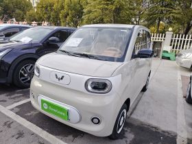 五菱汽车 宏光MINIEV 2024款 第三代 215km 青春版