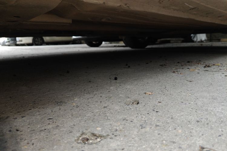 日产 轩逸 2012款 1.6XL CVT豪华版局部细节9004