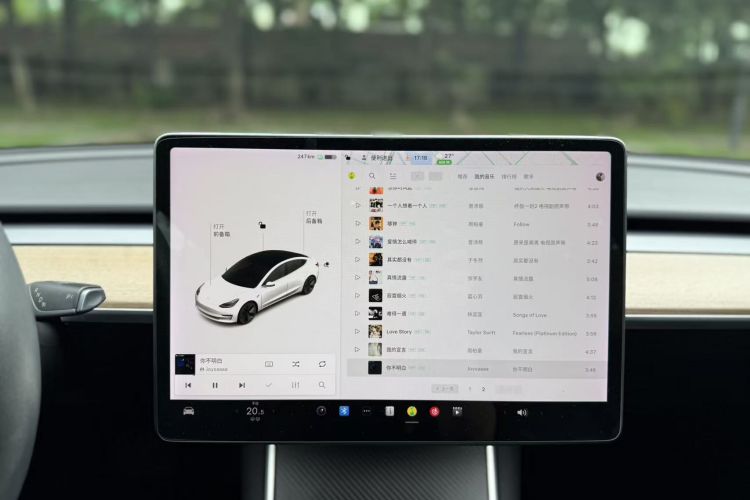 特斯拉 Model 3 2020款 改款 标准续航后驱升级版局部细节16
