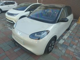 五菱汽车 五菱缤果 2023款 333km 悦享款