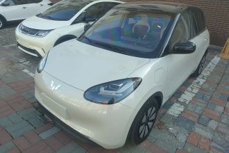 五菱汽车 五菱缤果 2023款 333km 悦享款