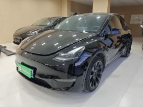 特斯拉 Model Y 2021款 标准续航后驱版