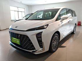 别克GL8新能源 2024款  陆尊 奢享版 7座