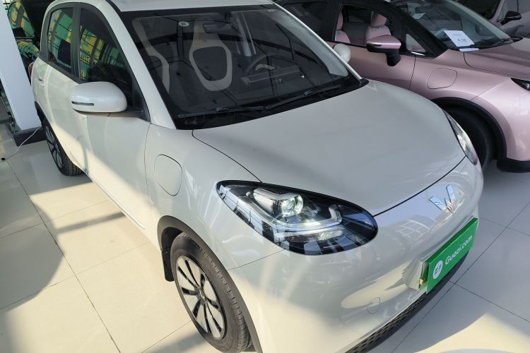 五菱汽车 五菱缤果 2023款 333km 快享款车身外观6002