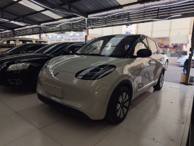 五菱汽车 五菱缤果 2025款 333km 悦享款