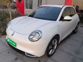 欧拉好猫 2021款 400km标准续航 维纳斯版 三元锂