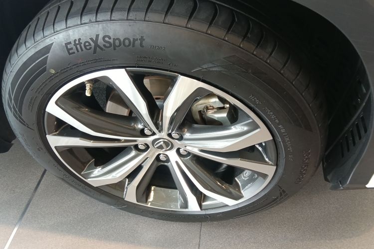 雷克萨斯RX 2020款 300 四驱典雅版 国VI车身外观10