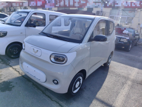 五菱汽车 宏光MINIEV 2024款 第三代 215km 青春版