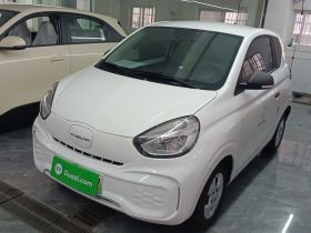 荣威 科莱威CLEVER 2021款 302km卓越版