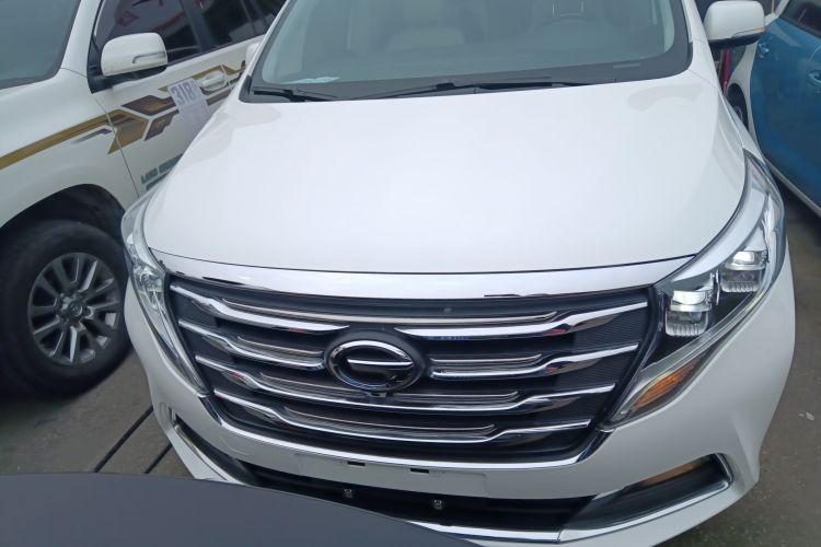 广汽传祺 传祺M8 2018款 320T 尊贵版车身外观6001