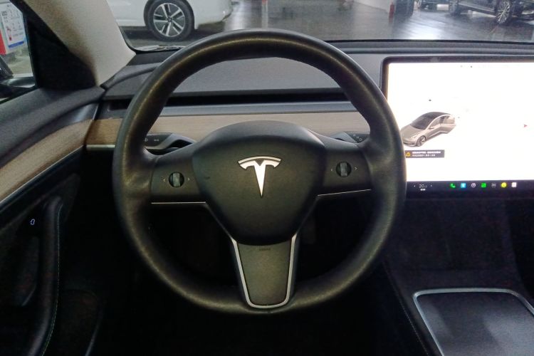 特斯拉 Model 3 2021款 标准续航后驱升级版 3D6局部细节13