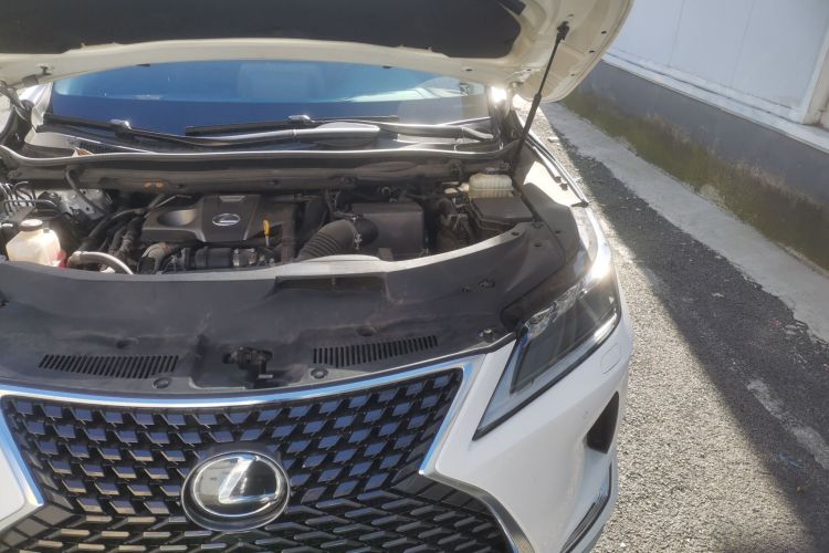 雷克萨斯RX 2020款 300 四驱典雅版 国VI局部细节9007