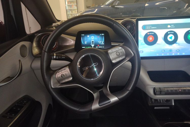 比亚迪 海豚 2021款 401km 骑士版局部细节13