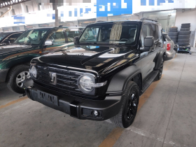 坦克300 2023款 越野版 2.0T 征服者