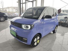 五菱汽车 宏光MINIEV 2022款 马卡龙绘色款 磷酸铁锂