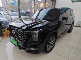 广汽传祺 传祺GS8 2022款 领航系列 2.0TGDI 两驱豪华智联版（七座）