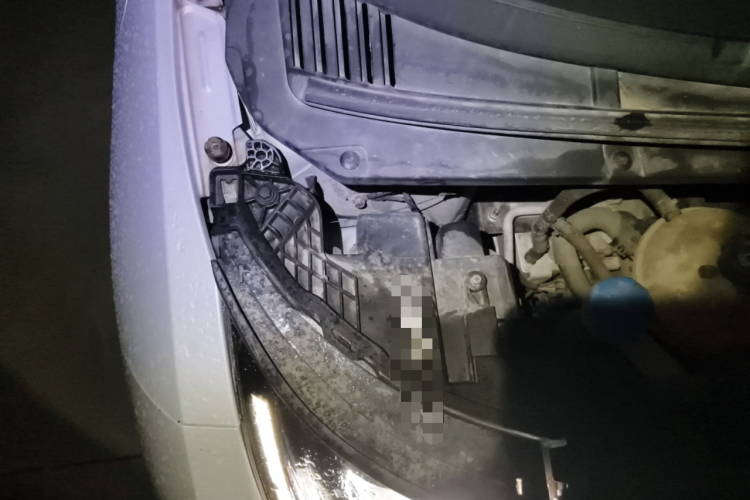 比亚迪 海豚 2021款 405km 自由版局部细节9006