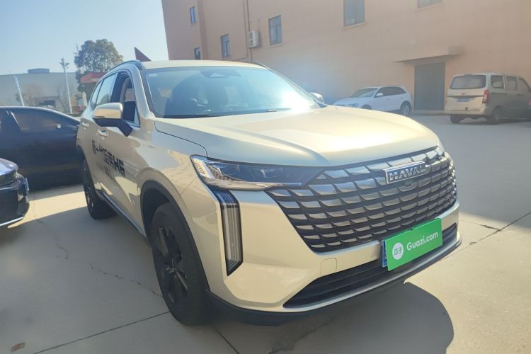 哈弗H6 2024款 2.0T 四驱Max车身外观6002