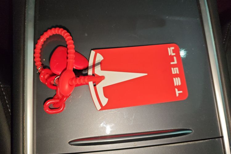 特斯拉 Model 3 2022款 后轮驱动版中控内饰7001